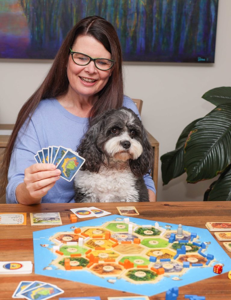 Playing and having fun with Catan a board game